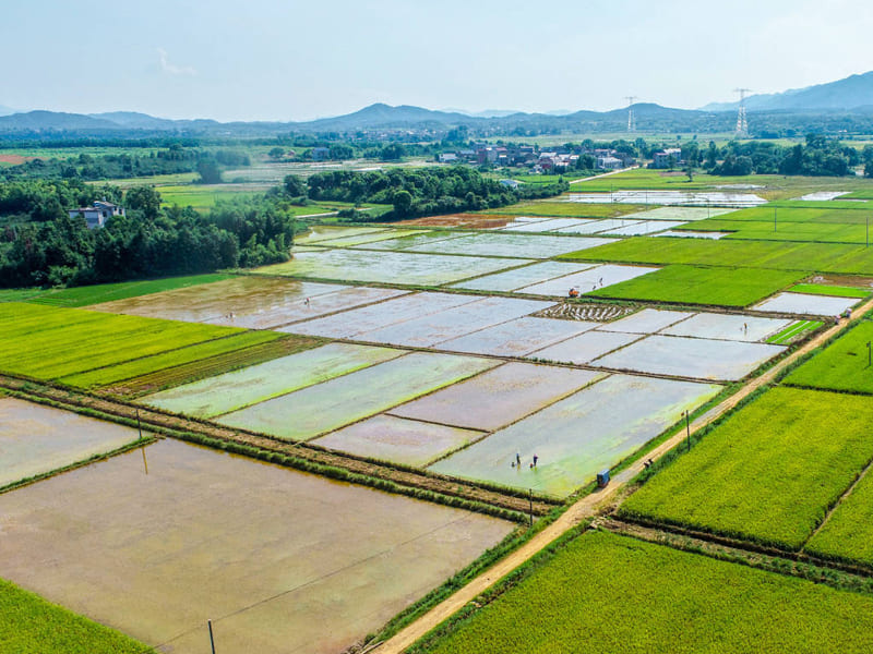 恒美科技助力高標準農(nóng)田建設(shè)，推進農(nóng)業(yè)現(xiàn)代化